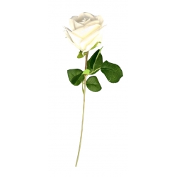 Single Rose White 2.5"